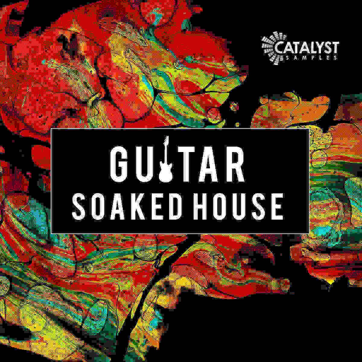 Catalyst Samples - Guitar Soaked House Sample Packs Software GUI Artwork